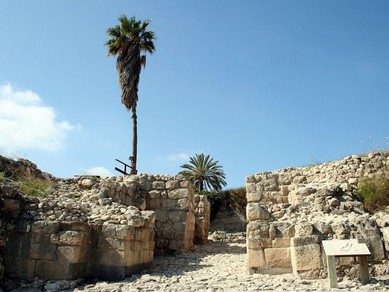 תל מגידו