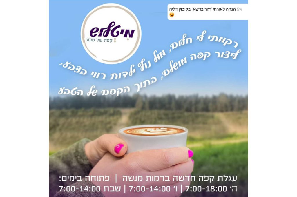 מיטל