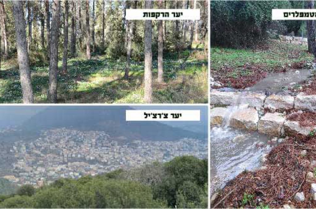 סיורי-קקל