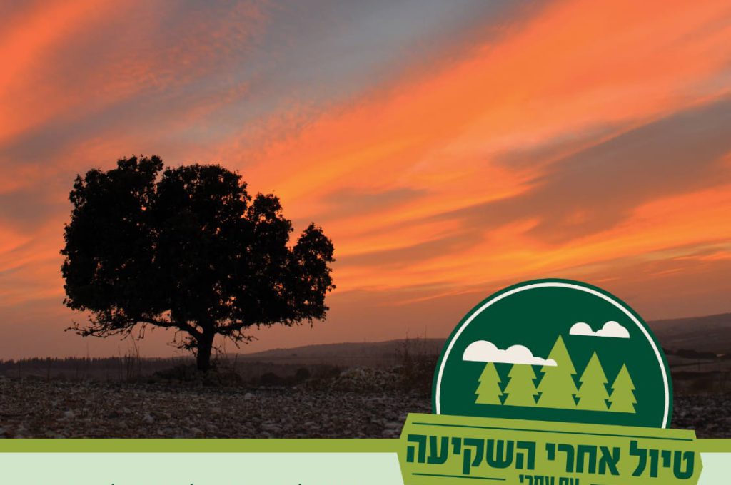 פעילות שטח חוויתית לכל המשפחה