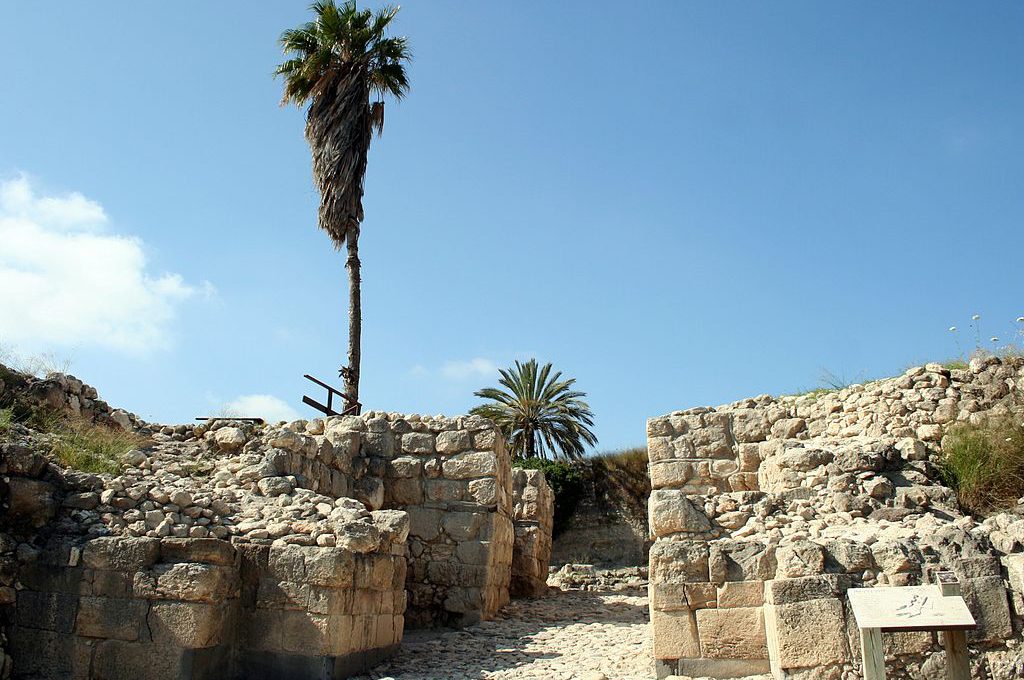 תל מגידו