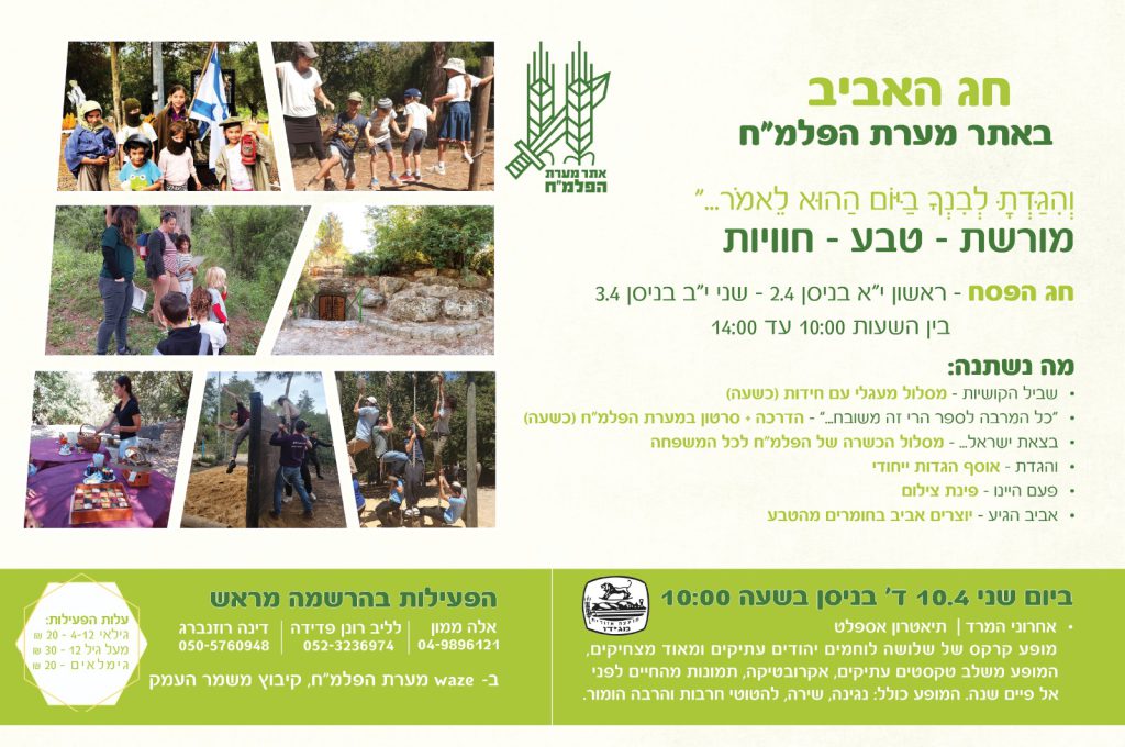 מערה2